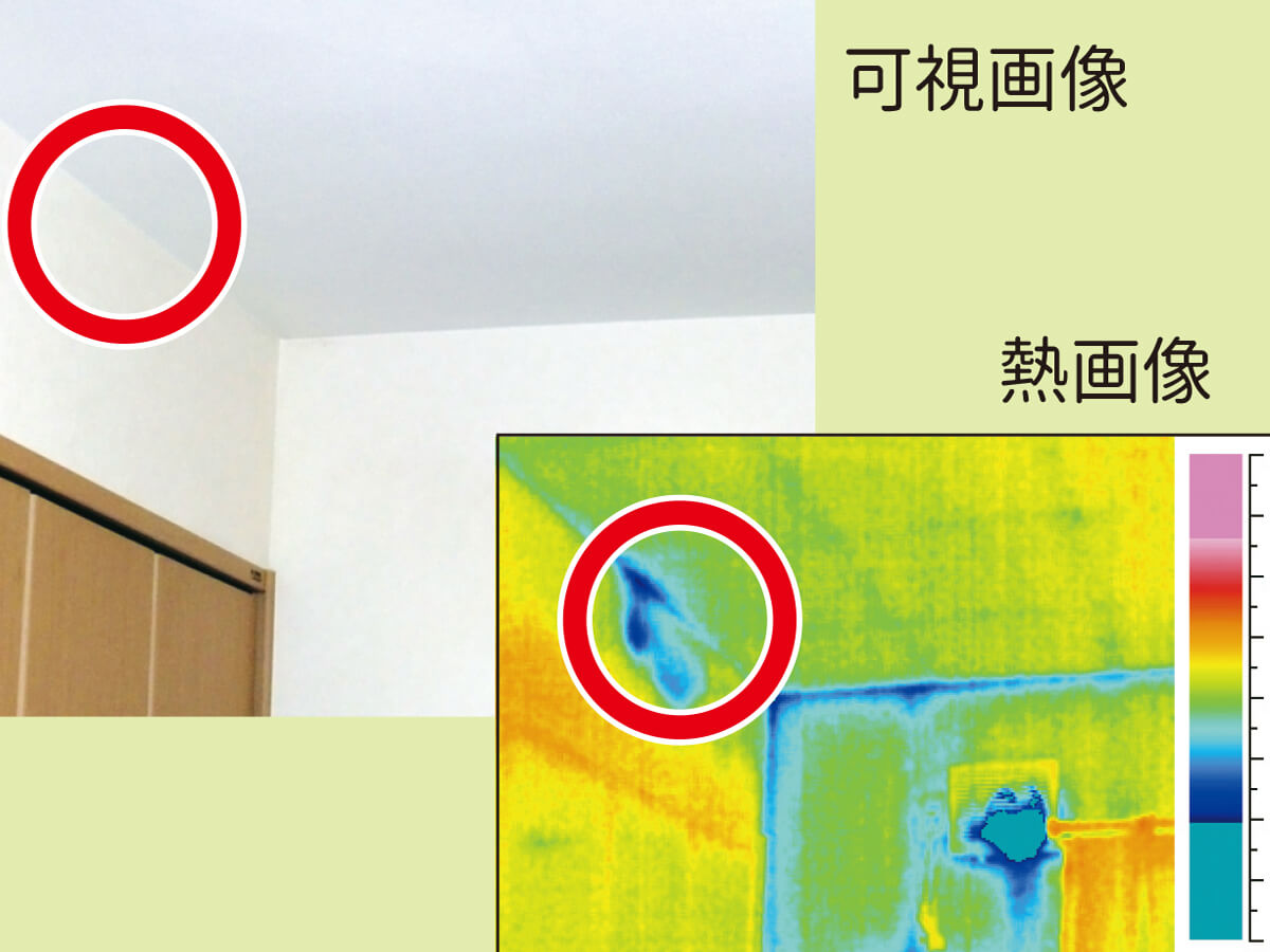 INDIの漏水診断〜赤外線調査